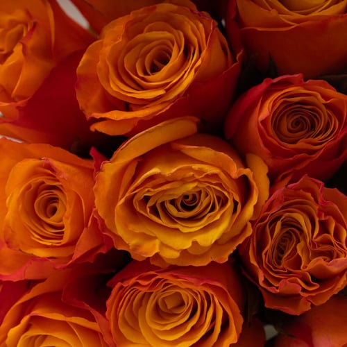 باقة الجوري الدافئة مع بيتي فور مشكل من باب شرقي