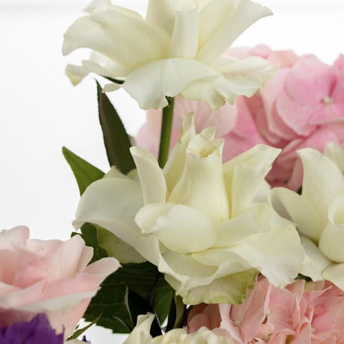 سلة موف سيريناد