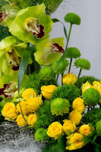 فازة الغابة الذهبية