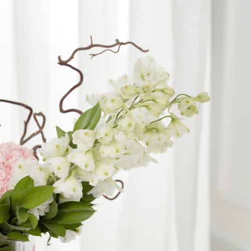 فازة مكعب الرقي