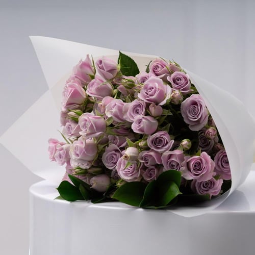 البهجة البنفسجية