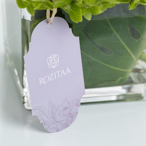 فازة نسيم الفردوس