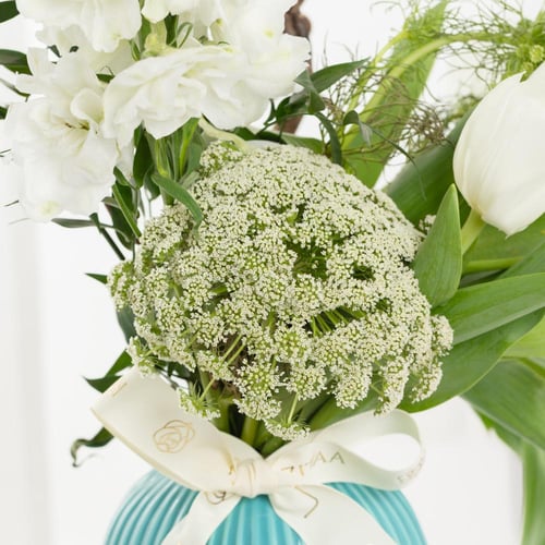 فازة أناقة الغابة البيضاء