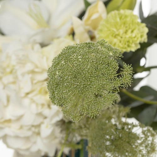 فازة يومنا المجيد