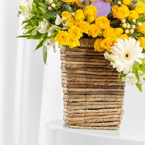 سلة ضياء الواحة