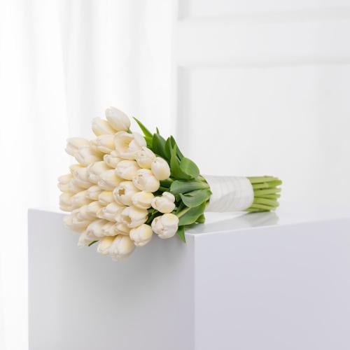 مسكة عروس توليب الاربعين