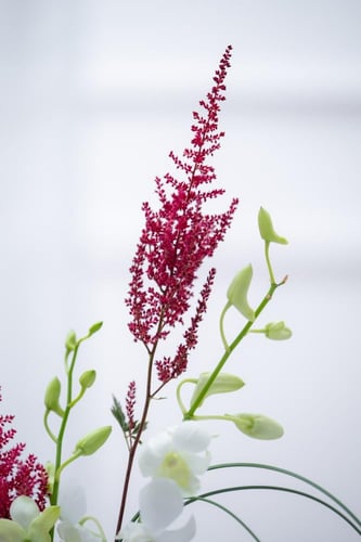 فازة همس الروح