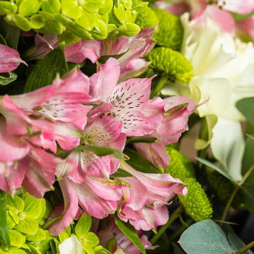 باقة روزيتا فيرساي