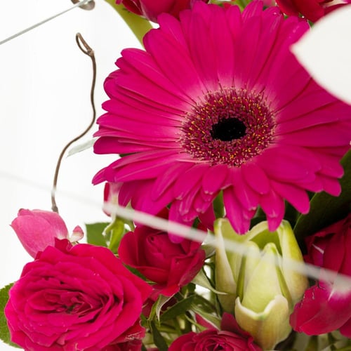 بوكس كرة السحر الأبيض