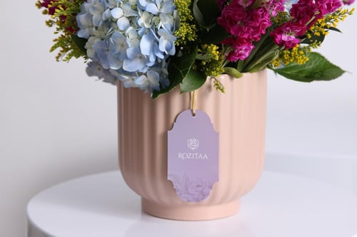 فازة الهيدرنجيا والمتيولا