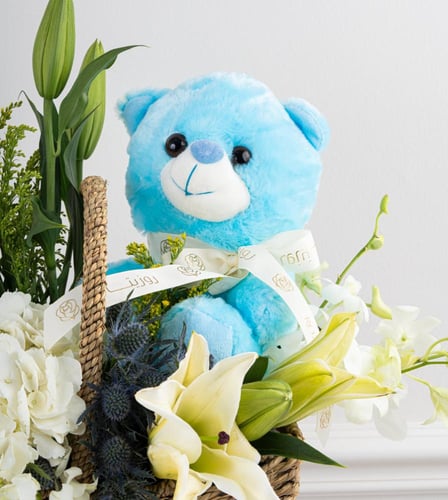 سلة مولودنا الجديد