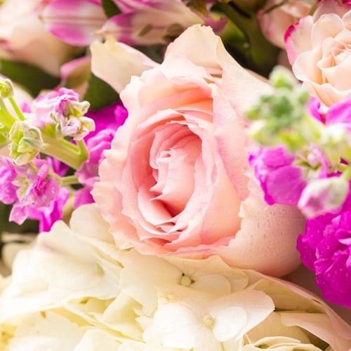 فازة سحابة الحب الوردية