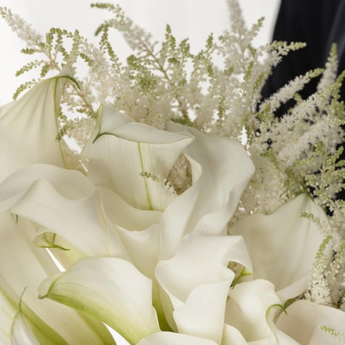 مسكة عروس قمرة كالا