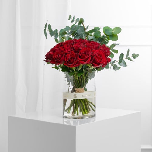 فازة نار بريئة