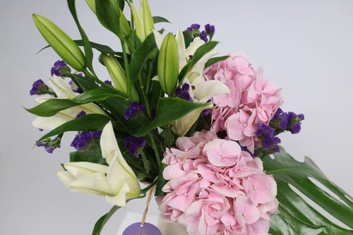 فازة الجمال النادر