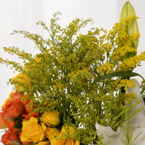 فازة ليالي الورد