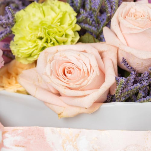 باقة شروق الروح