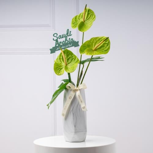 فازة الأنثوريوم الأخضر