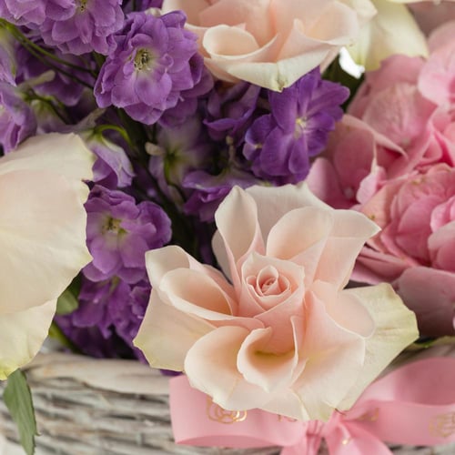 سلة موف سيريناد