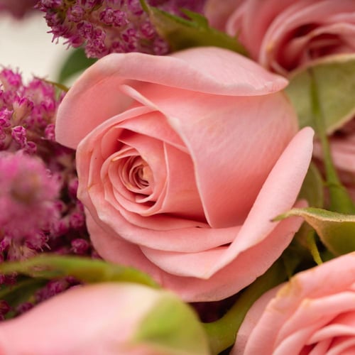 بيكان الكرامل المملح من هانوفيرين مع ازهار وردية