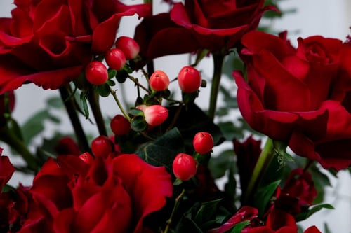 فازة قصر الحب