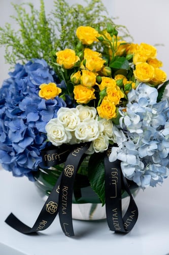 فازة سكون البحر