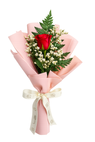 توزيعة روزيتا 1