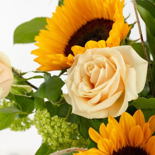 فازة لمسة فراشة ذهبية