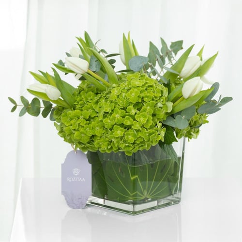 فازة نسيم الفردوس