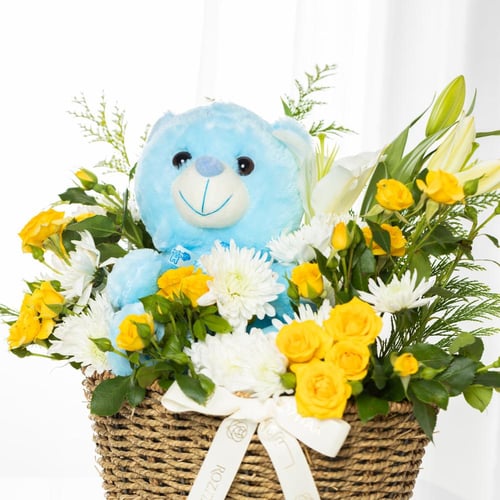 سلة الطفل الصغير