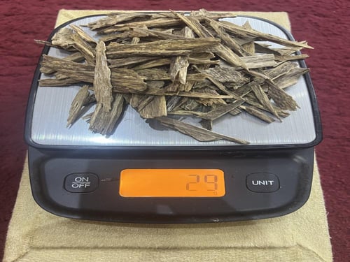 سيسور هندي طبيعي ناجلاند