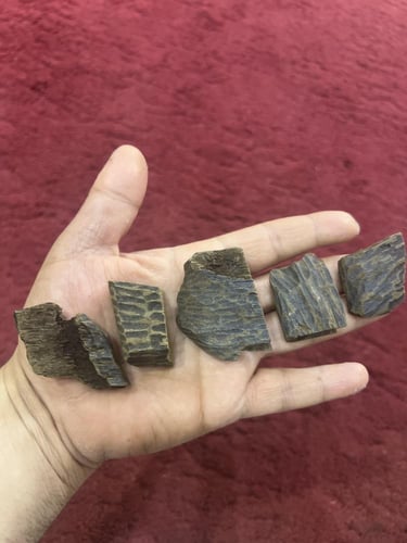 زوايا فتنامي محسن