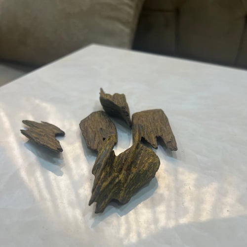 الكلمنتان الخاص محسن