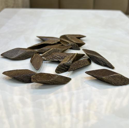 فتنامي ميني محسن