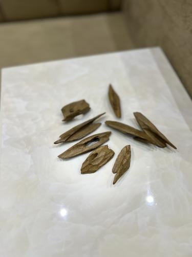 سيوفي فتنامي محسن فاخر