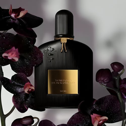 عطر 060 - ستايلك بلاك اوركيد