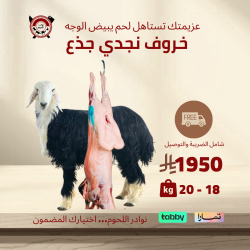ذبيحة نجدي جذع ( بلدي ) 19 ك