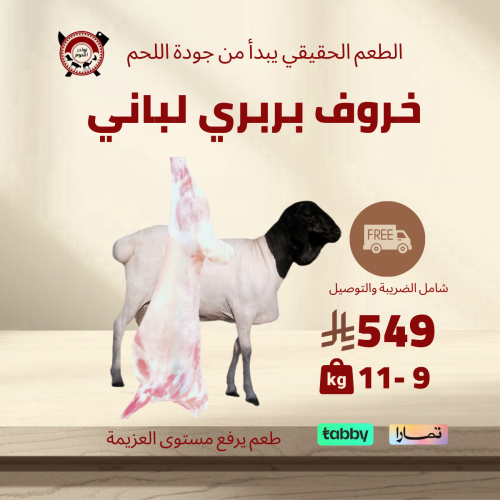 خروف بربري 10 كيلو