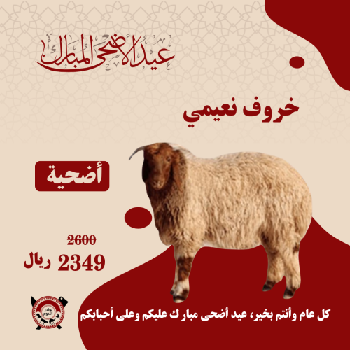 أضحية نعيمي بلدي وزن 20-24 ذبح وتجهيز وتوصيل سريع