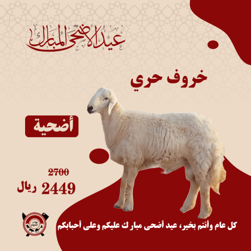 أضحية خروف حري 20-22 كيلو ذبح وتجهيز وتوصيل سريع