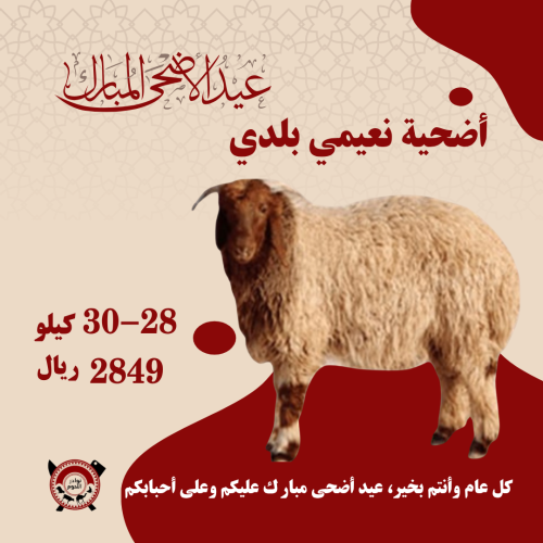 أضحية نعيمي بلدي ذبح وتجهيز وتوصيل سريع وزن 28-30...