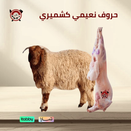 نعيمي كشميري 9 - 10 كيلو