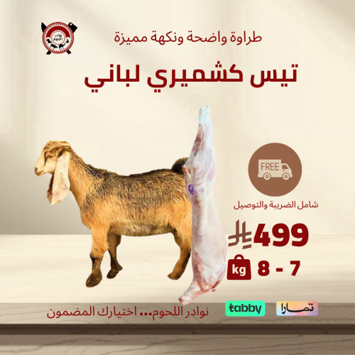 تيس كشميري 7 - 8 كيلو