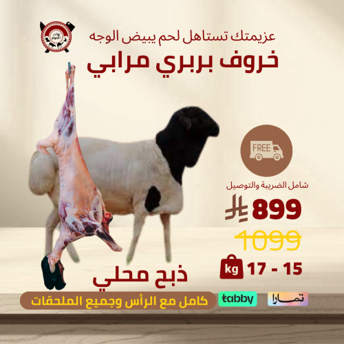 خروف بربري مرابي 15 _ 17 كيلو