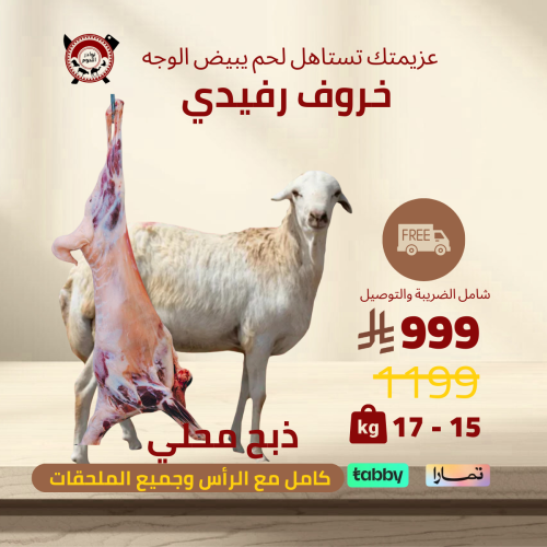 خروف رفيدي 15 _ 17 كيلو