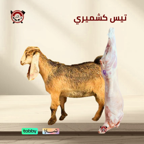 تيس كشميري 9 - 10 كيلو هرفي