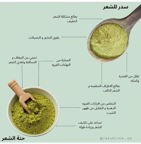 سدر كاميليا الورد ..