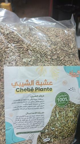 عشبة الشيبي