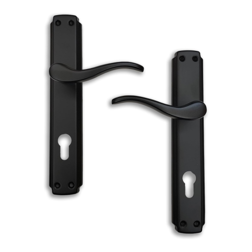 مقبض اسود غامق باب عصري وانيق