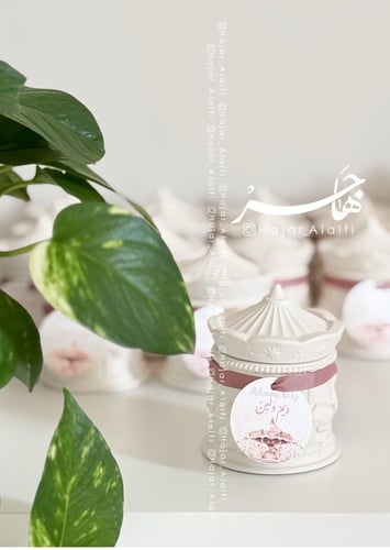 بكج استقبال مولود ( ثيم ملاهي )